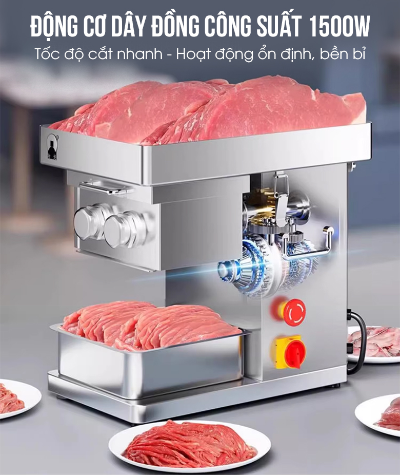 Động cơ dây đồng công suất lớn của máy thái thịt tươi sống RQ-III