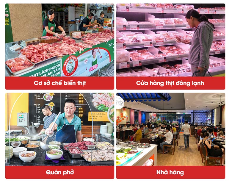 Máy thái thịt se lạnh tự động QH-300AS Các đơn vị nên mua máy cắt thịt QH-300AS