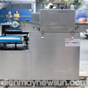 Máy thái thịt công nghiệp NS-XR-QD600 Máy thái thịt công nghiệp NS-XR-QD600