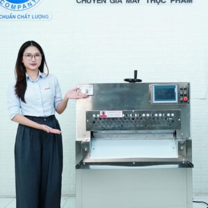 ava may cat thit dong lanh NS CNC 6DTROLLS 9